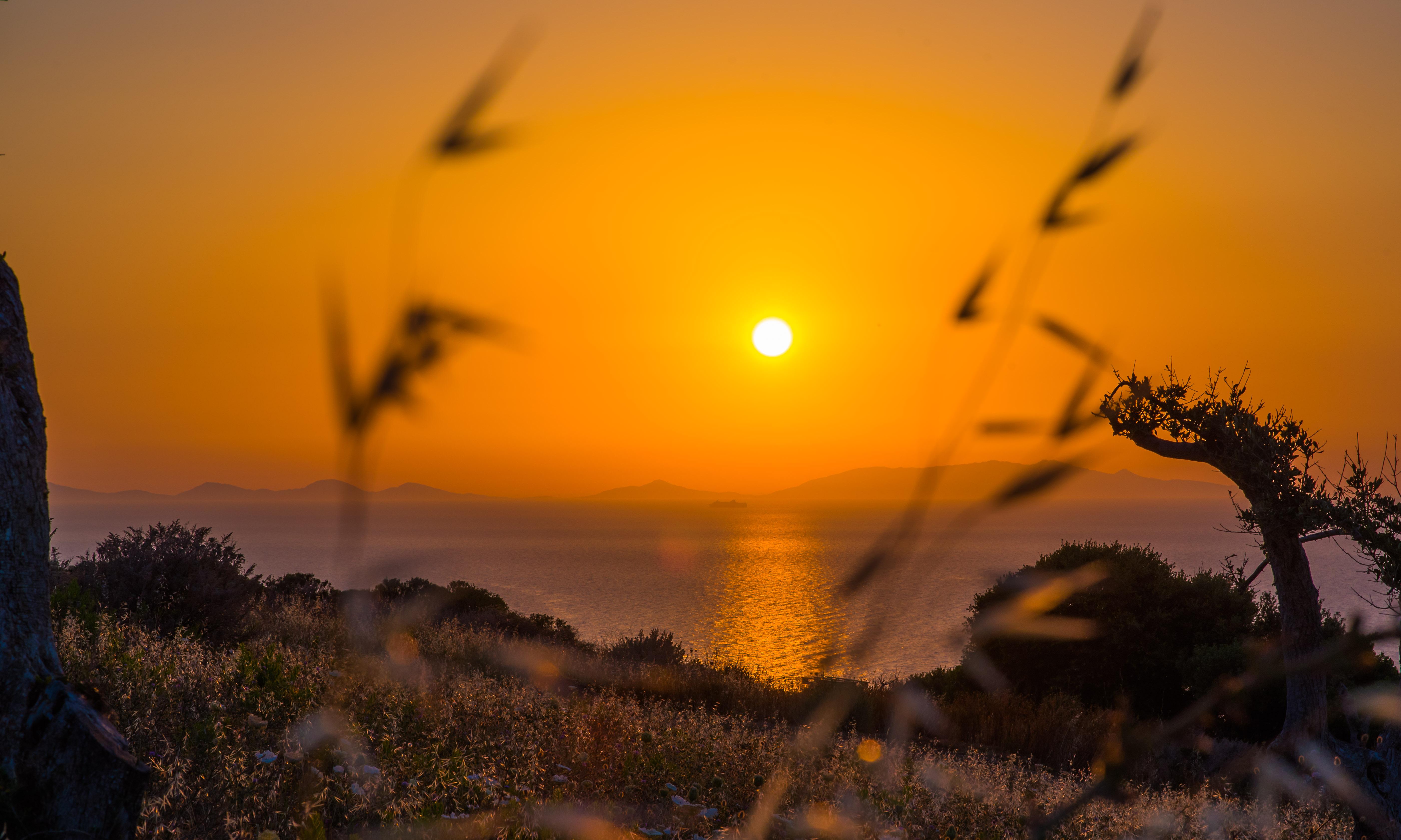 Bajaloglia Resort Castelsardo Exteriör bild